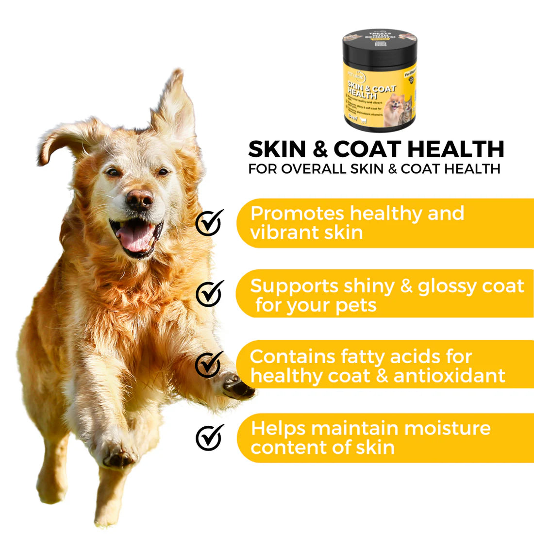 Pet Logic Skin and Coat Health Pet Supplement 240g