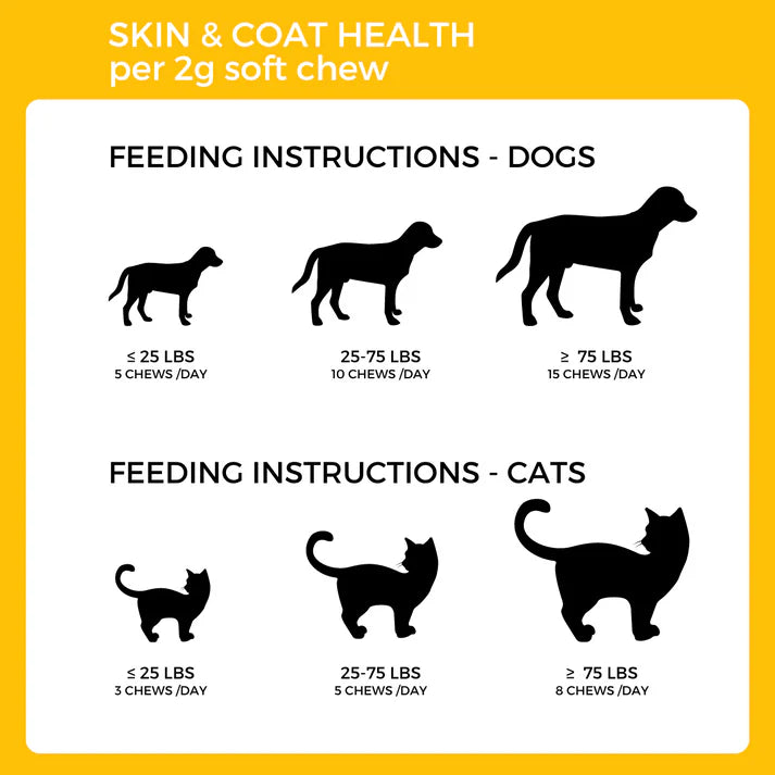 Pet Logic Skin and Coat Health Pet Supplement 240g
