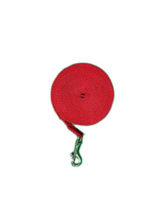 مقود الحيوانات الأليفة 5 أمتار