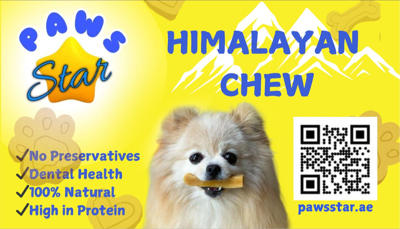 Paws Star Himalayan Chew