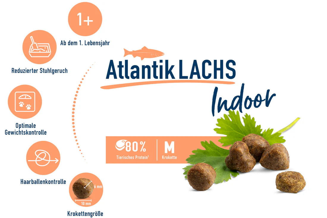 Happy Cat Indoor Atlantic Lachs