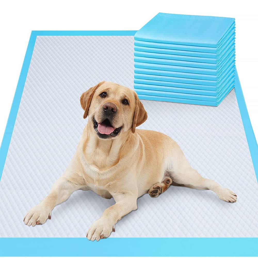 Paws Star Pet Super Absorbent Pee Pads Disposable Pet Diaper Dog Training Urine Nappy Mat For Cats Dog Diapers
Cage Mat, 50 Pcs., 45x60cm