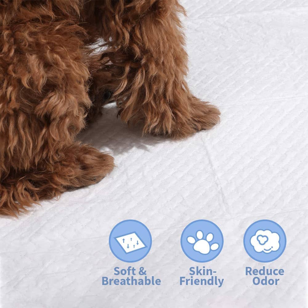 Paws Star Pet Super Absorbent Pee Pads Disposable Pet Diaper Dog Training Urine Nappy Mat For Cats Dog Diapers
Cage Mat, 50 Pcs., 45x60cm